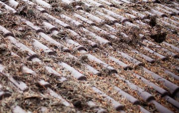 Lowe Hill roof cleaning companies